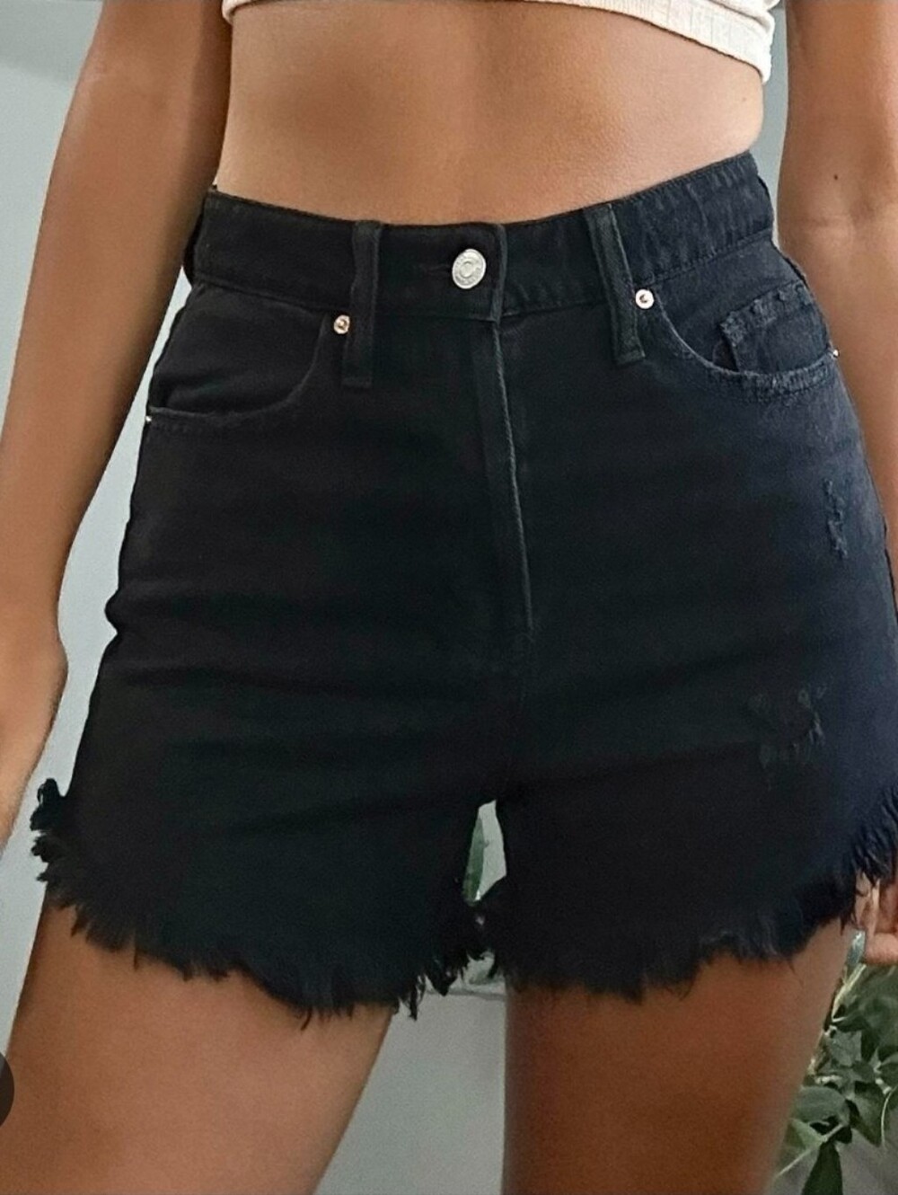 wild fable Black High-Rise Frayed Hem Denim Shorts